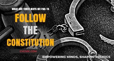 How We Fail the Constitution