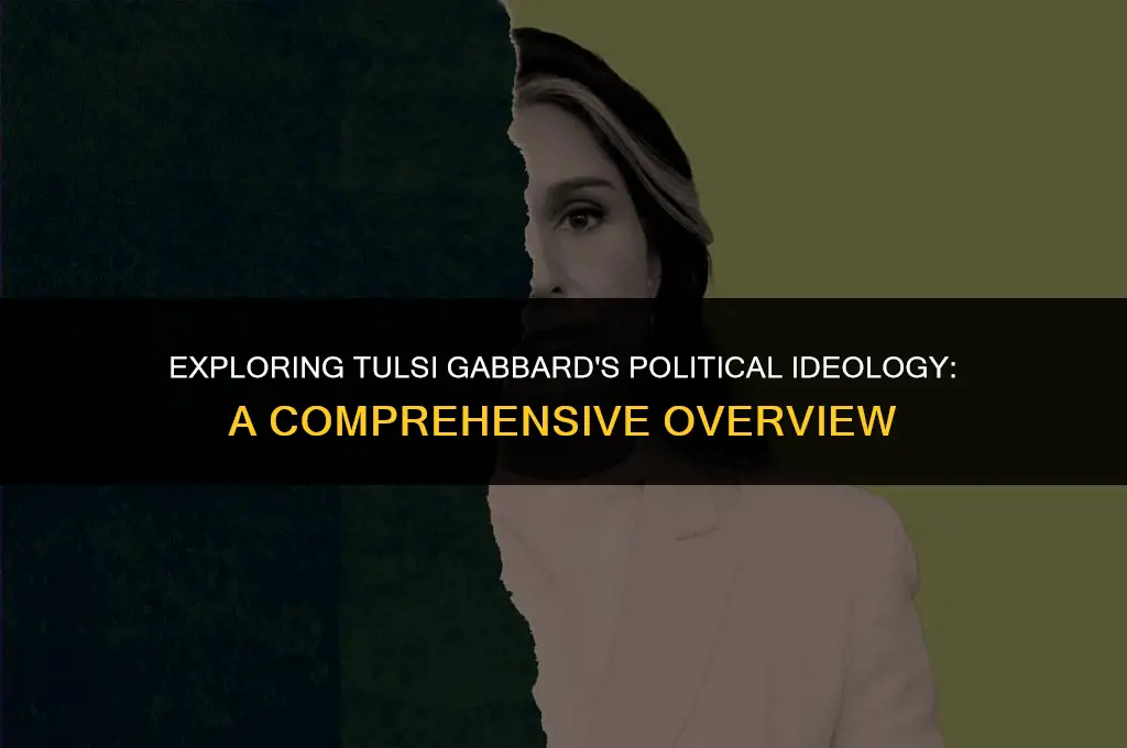 what are tulsi gabbard political views