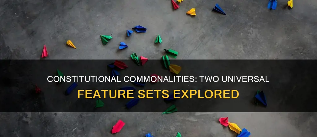 what are two near universal sets of features of constitutions
