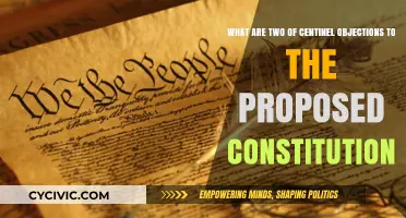 Centinel's Objections: A Federal Constitution Critique