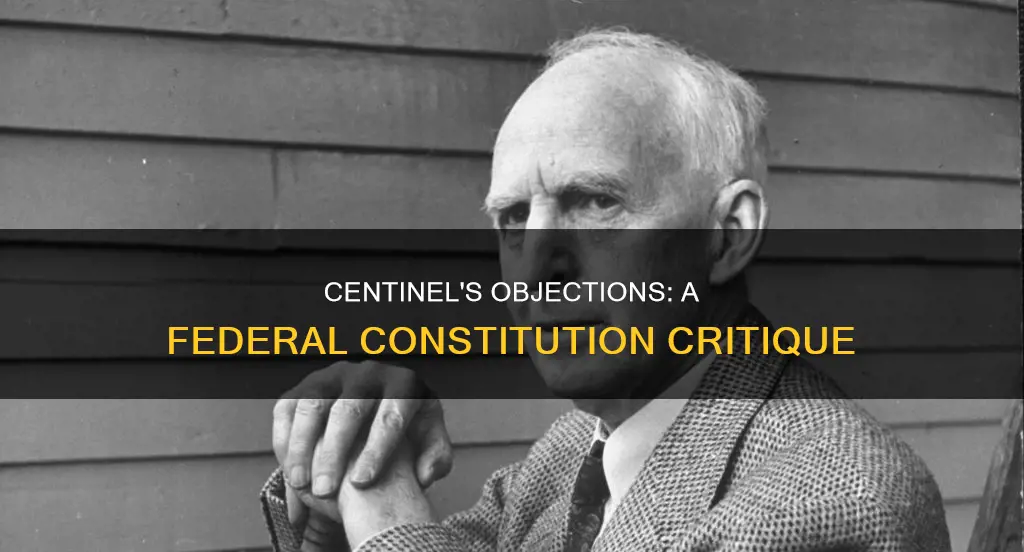 what are two of centinel objections to the proposed constitution