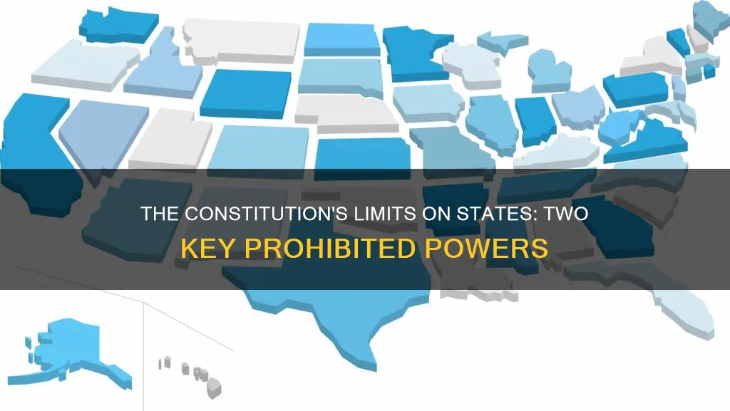what are two powers the constitution prohibits from thestates