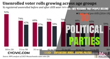 Why Join Political Parties? Exploring Key Motivations for Membership