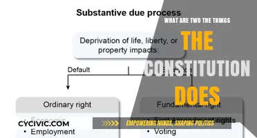 The Constitution's Twofold Purpose