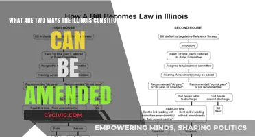 Illinois Constitution Amendments: Two Ways to Change It