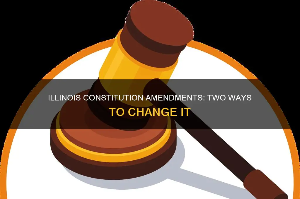 what are two ways the illinois constitution can be amended