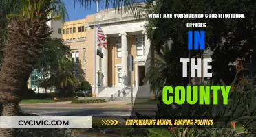 Constitutional County Offices: What Are They?