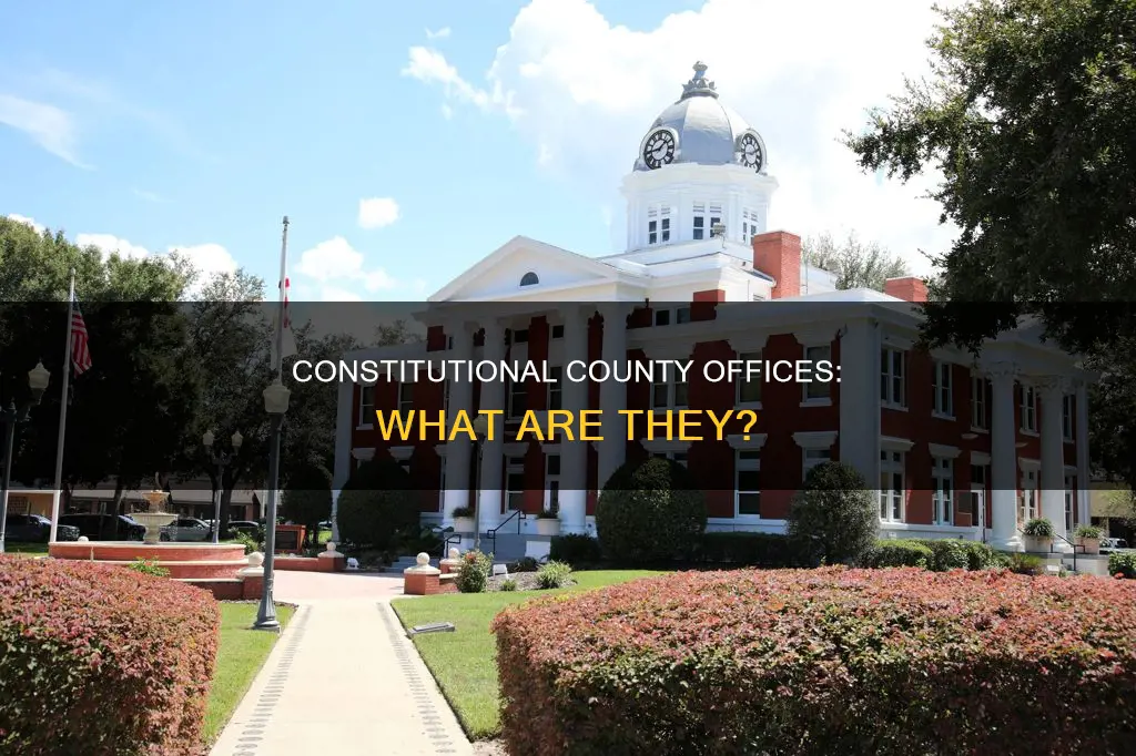 what are vonsidered constitutional offices in the county