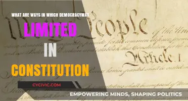 How the Constitution Limits Democracy