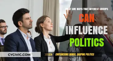 How Interest Groups Shape Political Landscapes: Strategies and Impacts