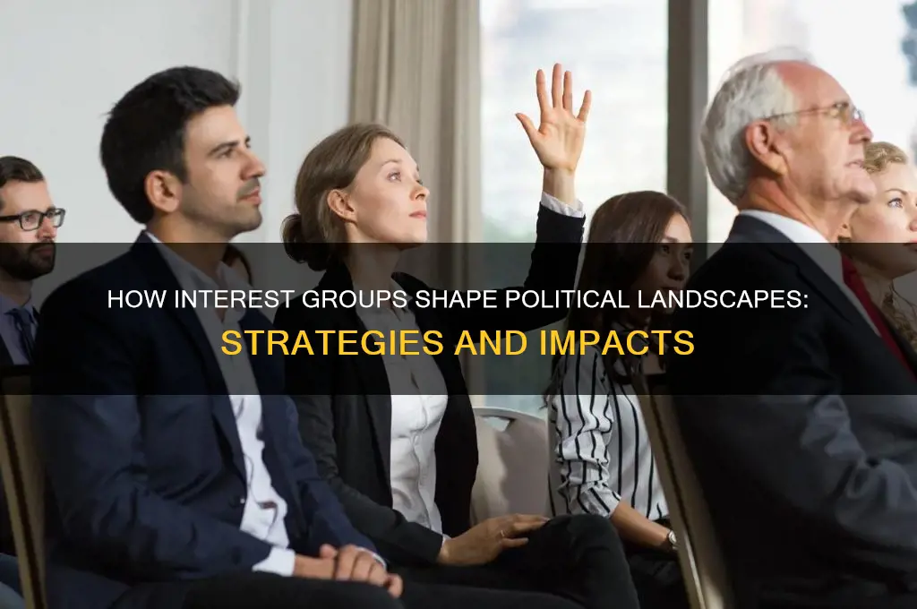 what are ways that interest groups can influence politics