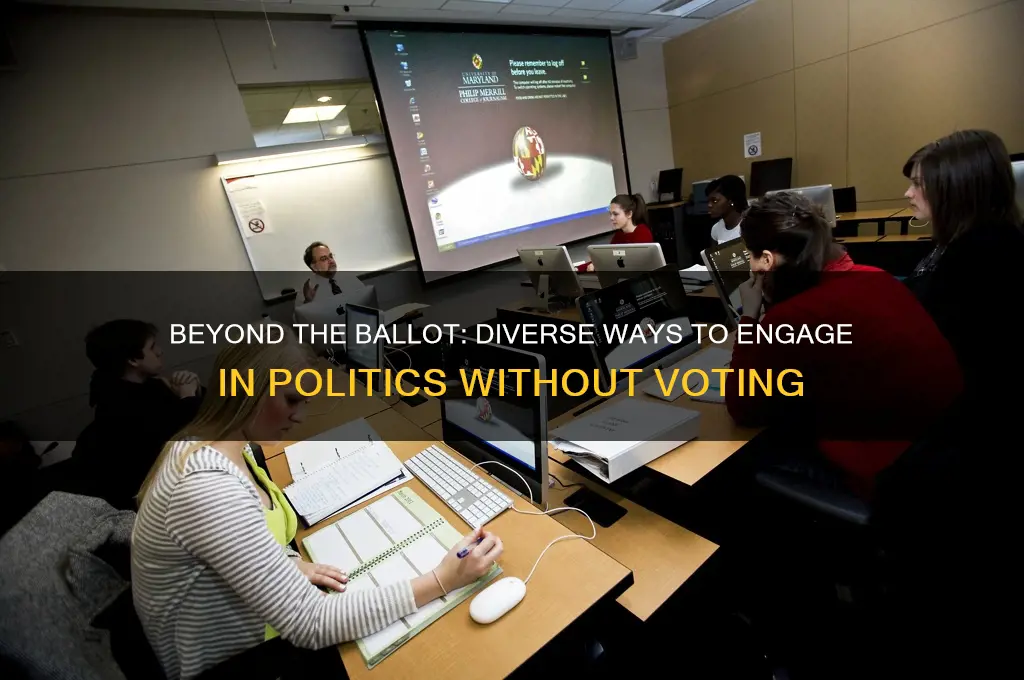 what are ways you can participate politically without voting