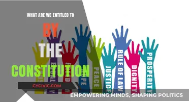 Our Constitutional Rights: What Are We Entitled To?