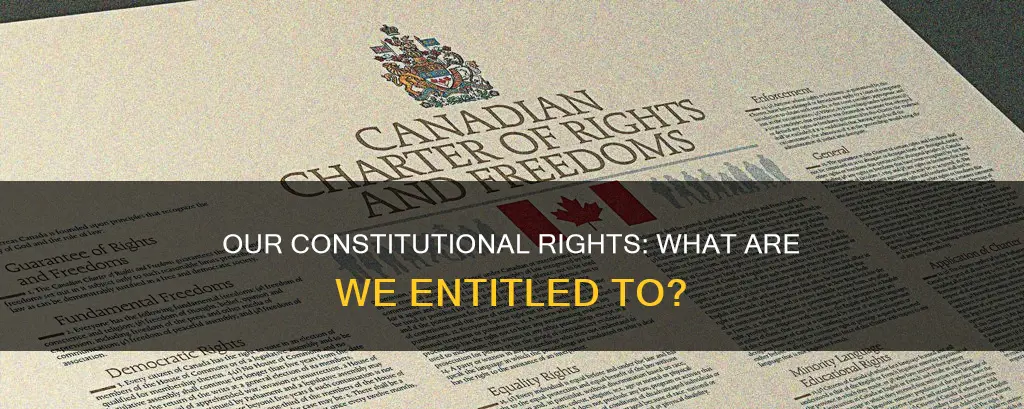what are we entitled to by the constitution