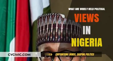 Exploring Nigeria's Political Landscape: Popular Views and Debates
