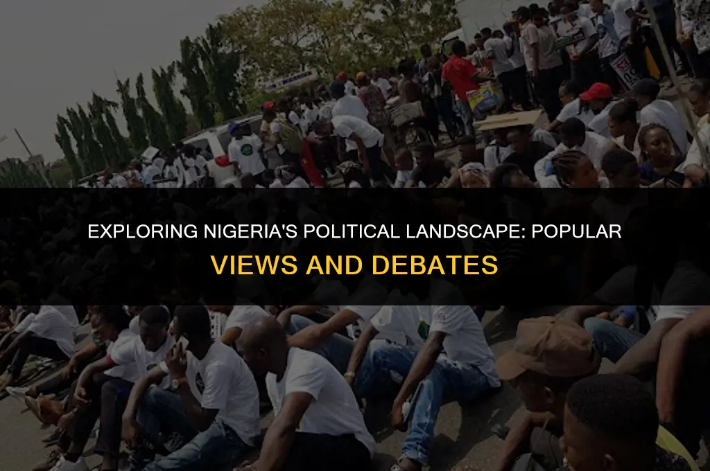 what are widely held political views in nigeria