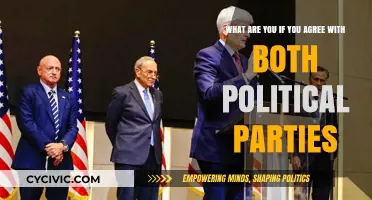 Bridging the Divide: Embracing Bipartisan Views in Today’s Politics