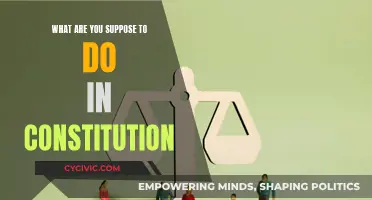 Understanding the Constitution: Our Rights and Responsibilities