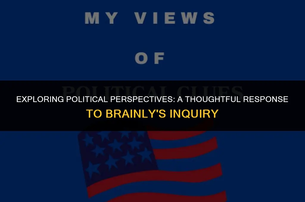 what are your political views answer brainly
