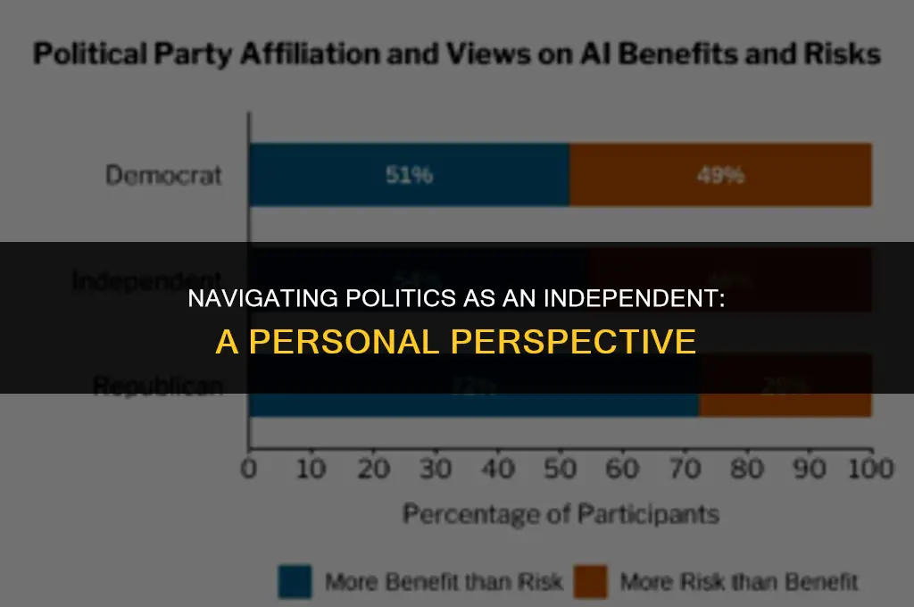 what are your political views i