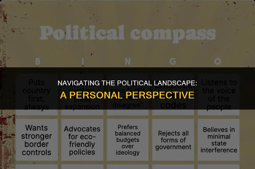 what are your views about politics
