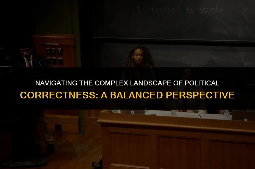 what are your views on political correctness