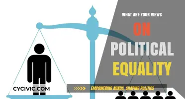 Exploring Political Equality: Ideals, Challenges, and Progress