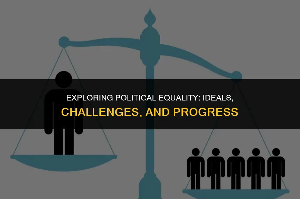 what are your views on political equality