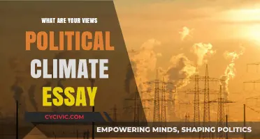 Navigating the Turbulent Political Climate: A Personal Perspective