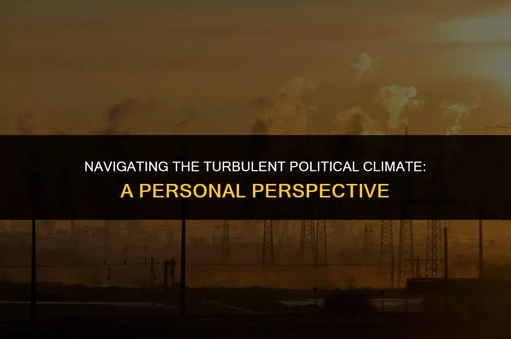what are your views political climate essay