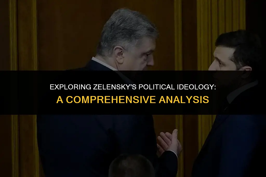 what are zelensky political views