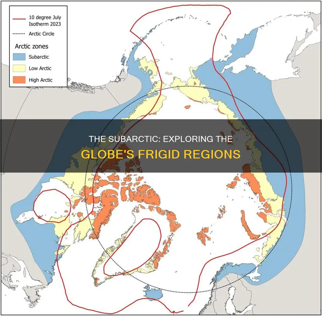 what area of the globe constitutes the subarctic