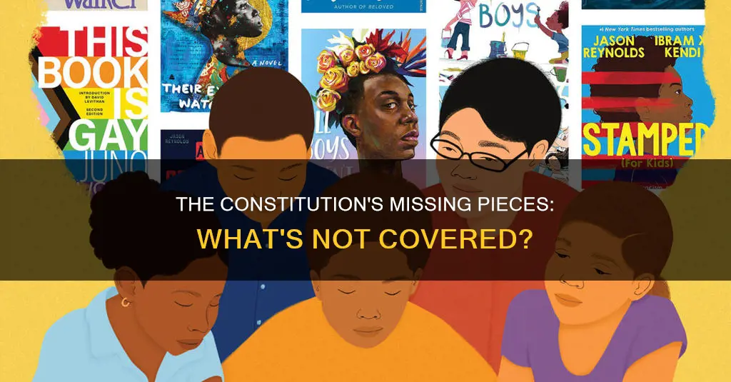 what areas are not included in the constitution