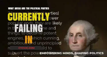 Political Parties' Shortcomings: Key Areas Where They're Falling Short