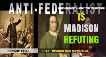 Madison's Refutation: Arguments Against the Constitution