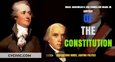Hamilton's Constitution Defense: Key Arguments Explained