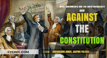 Antifederalists' Arguments Against the Constitution