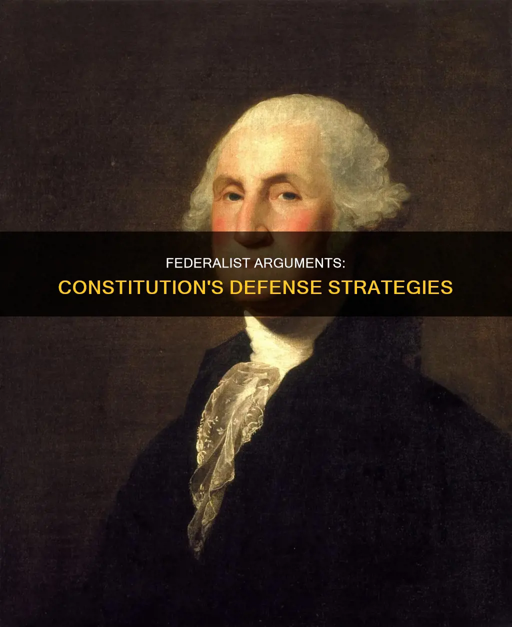 what arguments did the federalists use to support the constitution