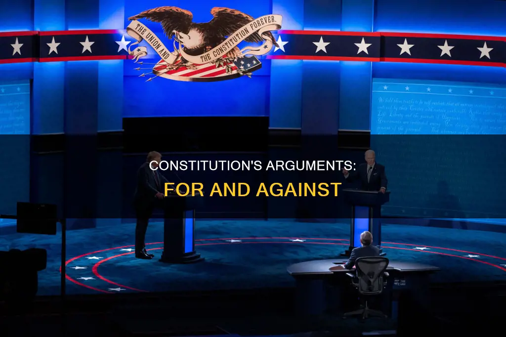 what arguments were made for and against the constitution