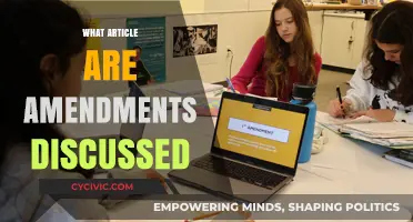 Amendments: Discussed and Decoded