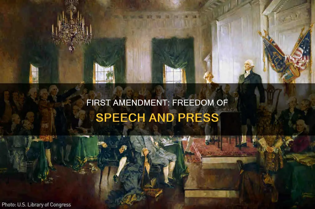 what article is amendment 1 in us constitution