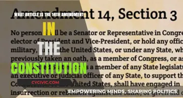 The Fourteenth Amendment Explained: Understanding Citizenship and Due Process