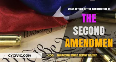 Second Amendment: Constitutional Right to Bear Arms