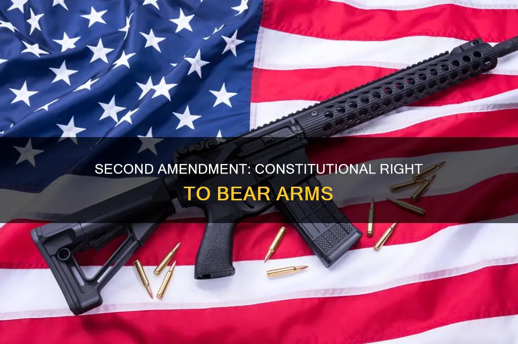 what article of the constitution is the second amendment