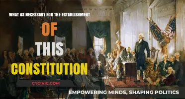 The Constitution: What Was Essential for Its Establishment?