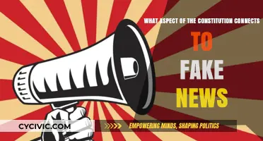 The Constitution and Fake News: Freedom of Speech