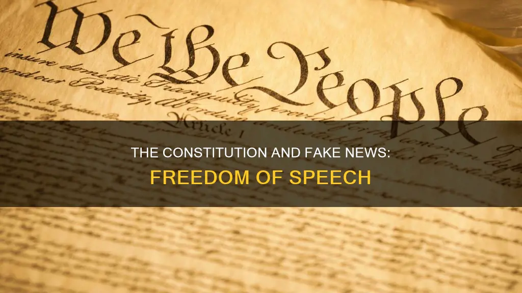 what aspect of the constitution connects to fake news