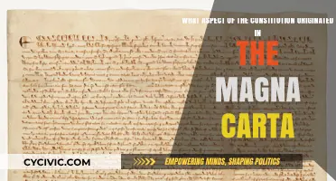 The Magna Carta's Legacy in the Constitution