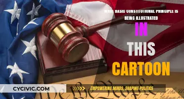 Cartoon Constitutional Principles: What's the Message?