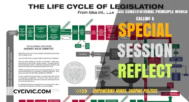 Special Sessions: Reflecting Our Constitutional Principles